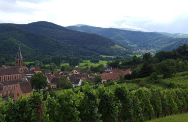Circuit ‘Spécialités Alsaciennes au long de la route des vins’ - Escapades gourmandes Alsace - FootourAlsaciette