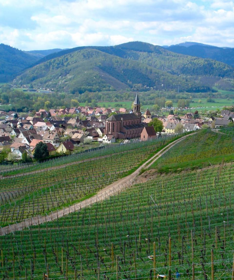 Escapades gourmandes Alsace - Foodtour et circuits - Alsaciette